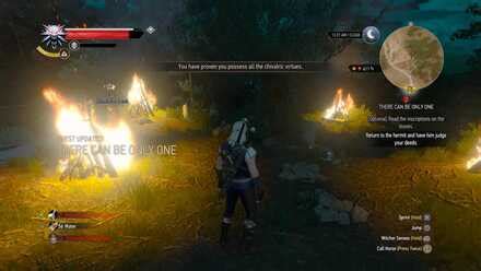 witcher 3 aerondight rune slots|Aerondight (Relic) .